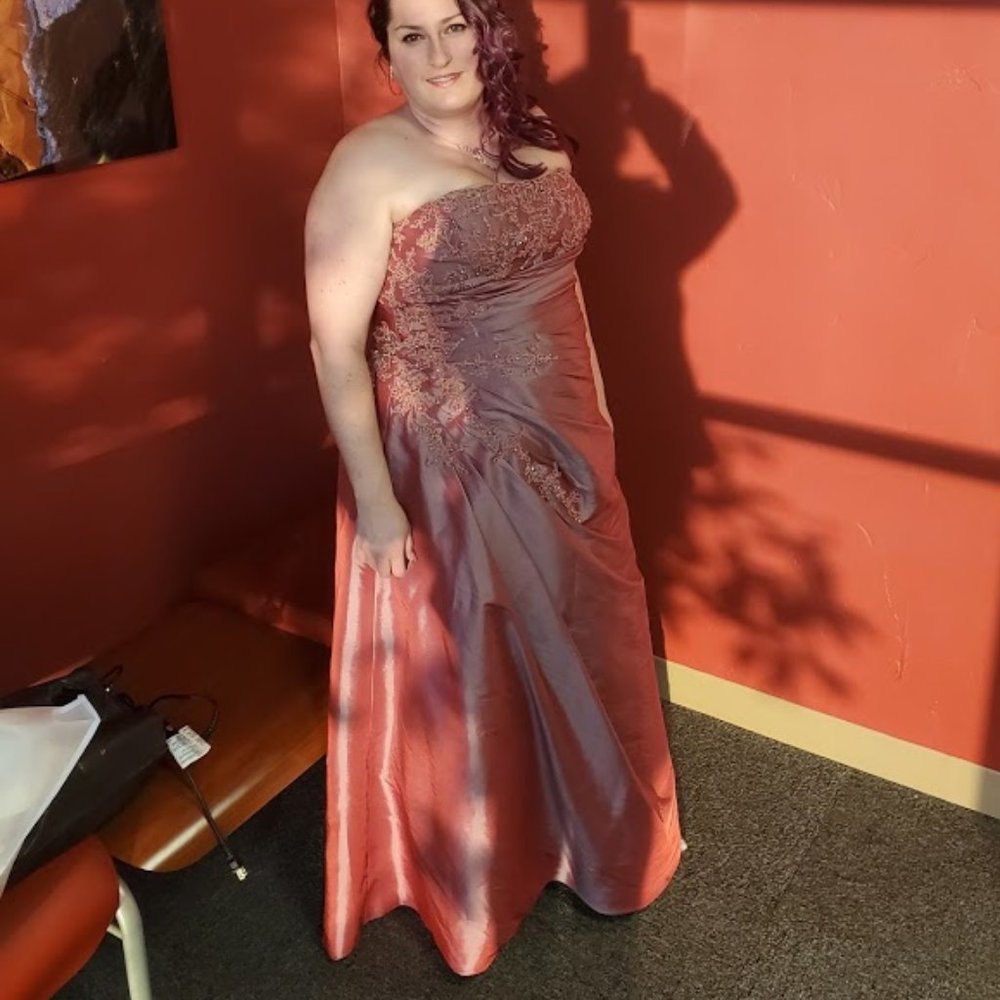 Camille Ball Gown used beautifuly beaded 18W